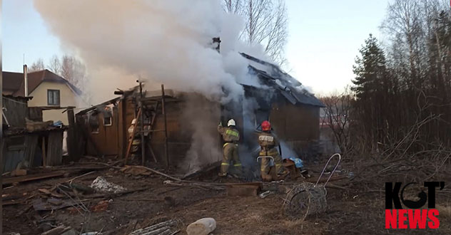 За гибель двух мальчишек при пожаре в Сольвычегодске к ответу призывают органы опеки