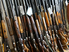 В Архангельской области сотрудники Росгвардии за неделю изъяли у недобросовестных владельцев 15 ружей