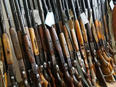 В Архангельской области проходит профилактическое мероприятие «Владелец оружия»
