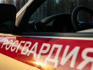 В Архангельске сотрудники Росгвардии задержали двух ранее судимых граждан, подозреваемых в хищении строительных товаров