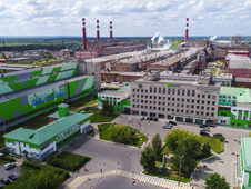 Российский леспром хочет покинуть крупнейший иностранный инвестор
