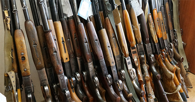 В Архангельской области сотрудники Росгвардии за неделю изъяли у недобросовестных владельцев 15 ружей