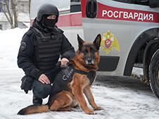 Служебная собака Росгвардии помогла обнаружить схрон с тротилом в Архангельской области
