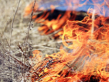 В Архангельской области с 1 мая объявлен пожароопасный сезон