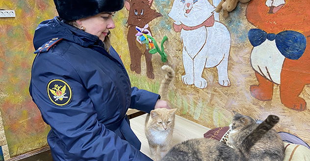 Сотрудники УФСИН России по Архангельской области оказали помощь приюту для животных