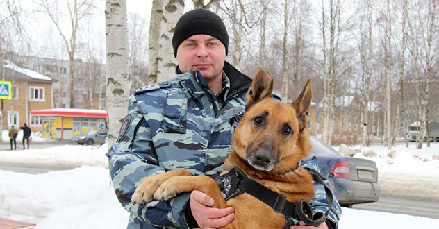 В Архангельске кинолог со служебной собакой по горячим следам задержал подозреваемого в краже
