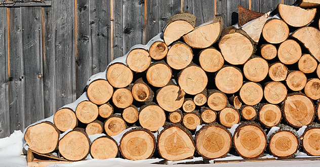 Выявлены нарушения в пунктах складирования древесины