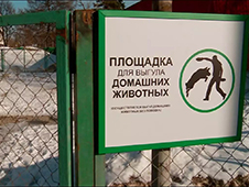 Архангельской межрайонной природоохранной прокуратурой выявлены нарушения законодательства в сфере обращения с животными