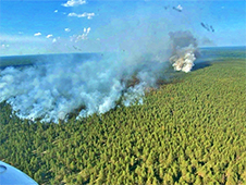 Лесные пожары в Архангельской области