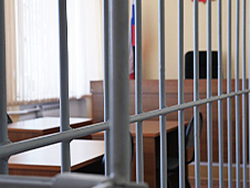 Жителя г. Новодвинска будут судить за жестокое обращение с животным, повлекшее его гибель
